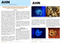 AHN Article Biofluorescence in Bitis caudalis